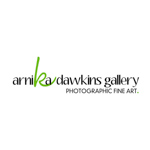 Arnika Dawkins Gallery